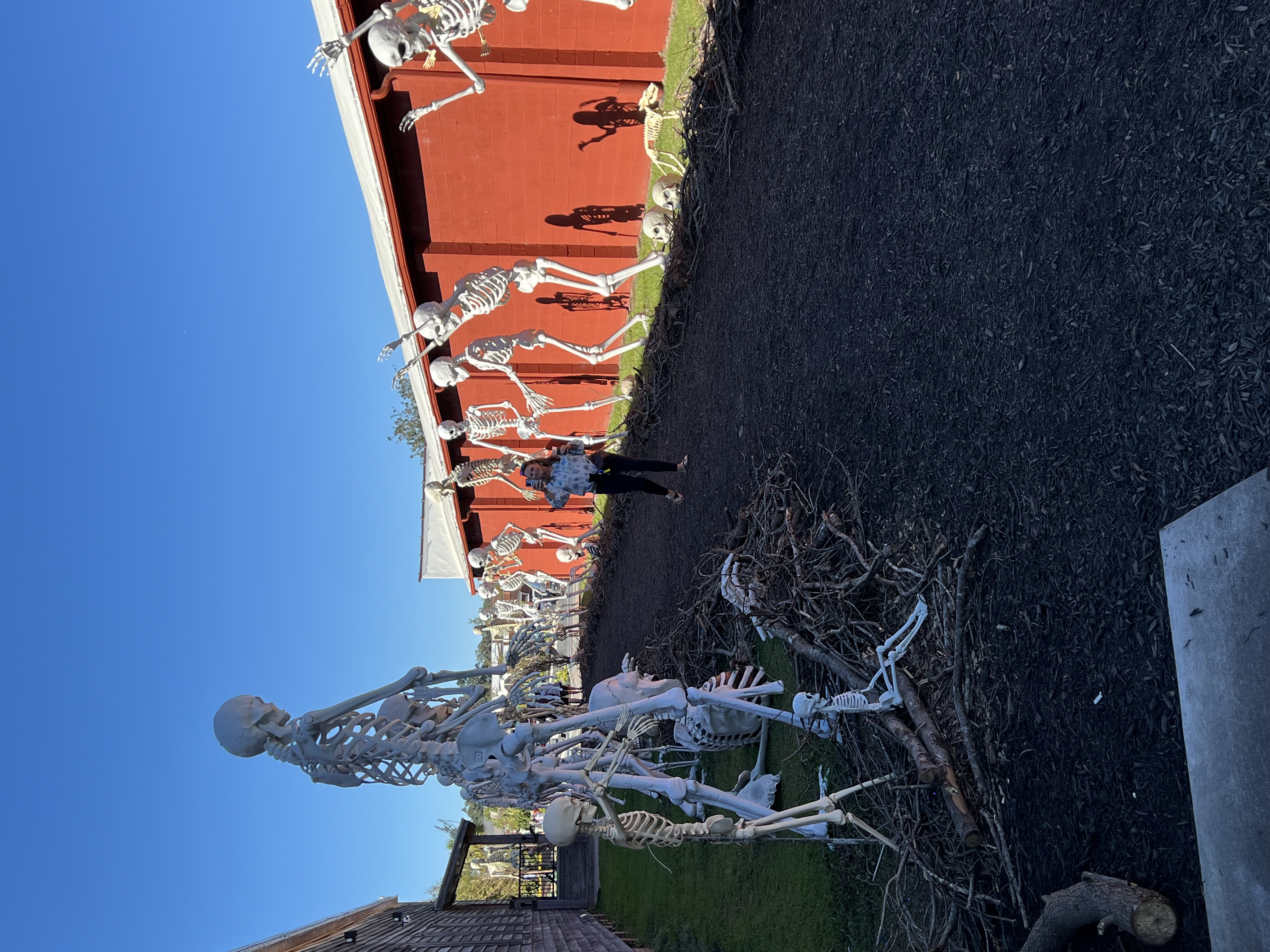 ./2024/10 - Myrtle Beach/IMG_3291.jpg